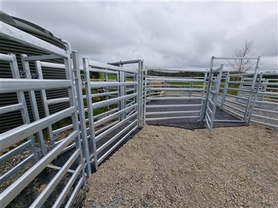 Hex Grip Cattle Yards 4