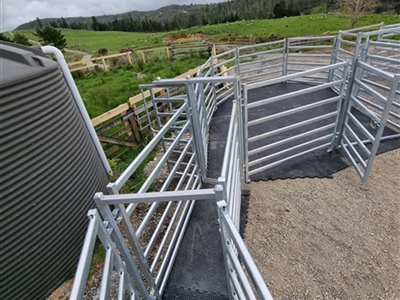 Hex Grip Cattle Yards 5
