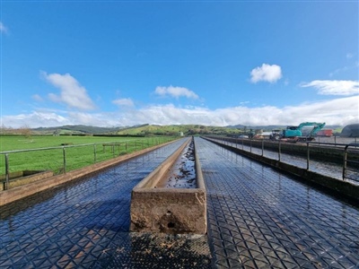 DairyGrip on Feedpad