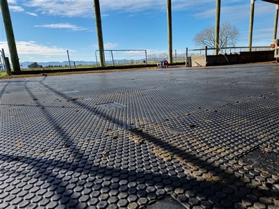 Hex Grip Feedpad 2