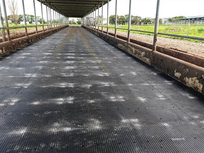 Penny Feedpad