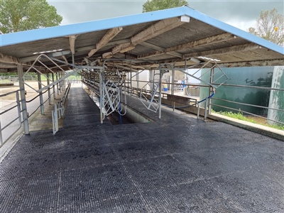 Penny Grip Shed Entry and Bails 2