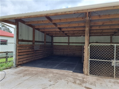 Horse Stables