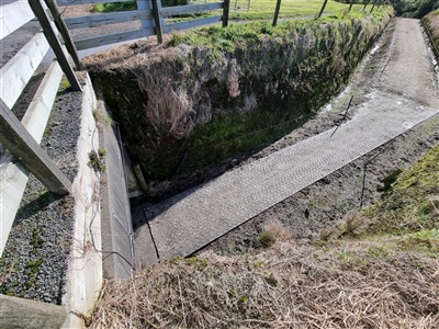 Dairy Grip Rolls Underpass 2