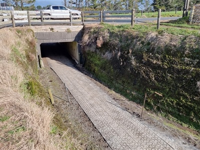 Dairy Grip Rolls Underpass 3