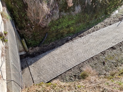 Dairy Grip Rolls Underpass
