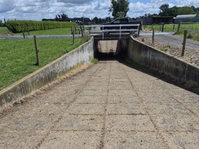 Penny Grip on underpass