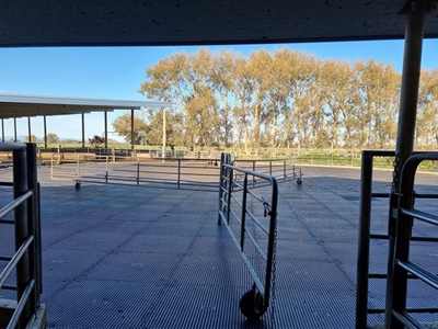 Penny Grip Round Yard