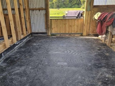 Stable with Horse blanket