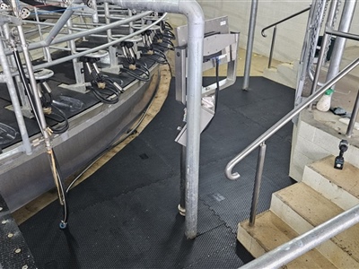 Diamond Grip Rotary platform and people area