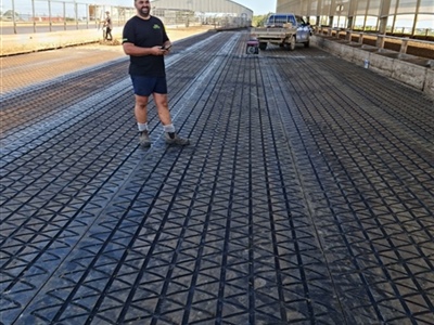Logan King Northland Farmer Dairy Grip Rolls Feedpad