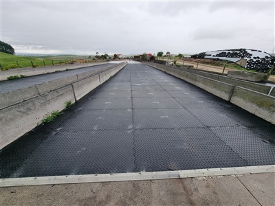 X Grip Feedpad with edgings