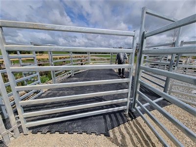 Hex Grip Cattle Yards 3