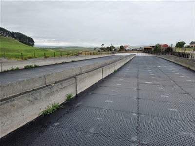 X Grip Feedpad