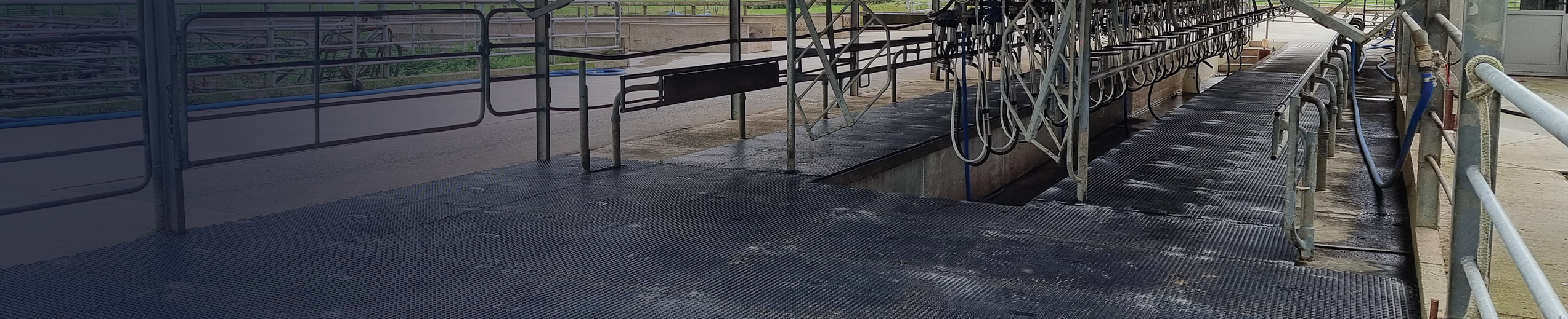 Shed Entry and Bails