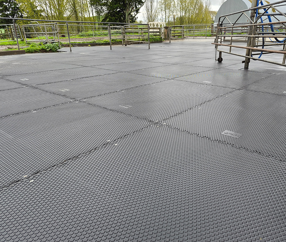 Diamond Grip Tiles inside a small shed