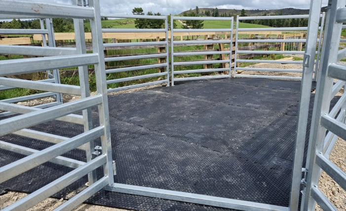 Hex Comfort Grip Tiles installed on feeding pad