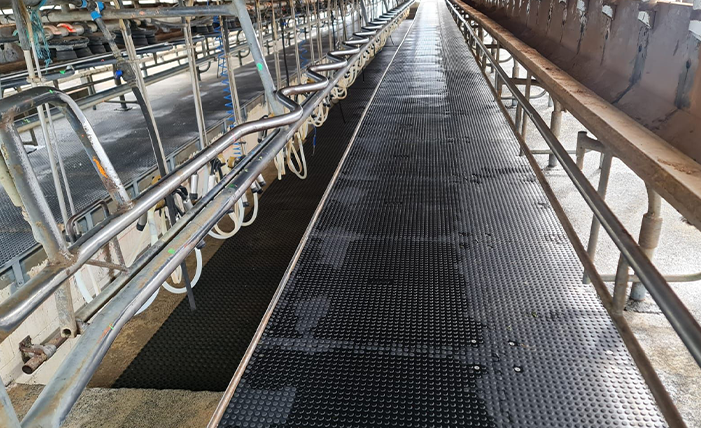Penny Grip Tiles installed in milking shed