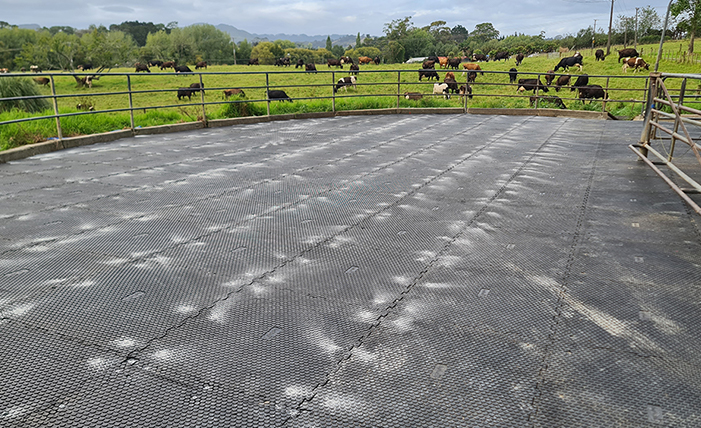 Penny Grip Tiles on a New Zealand farm