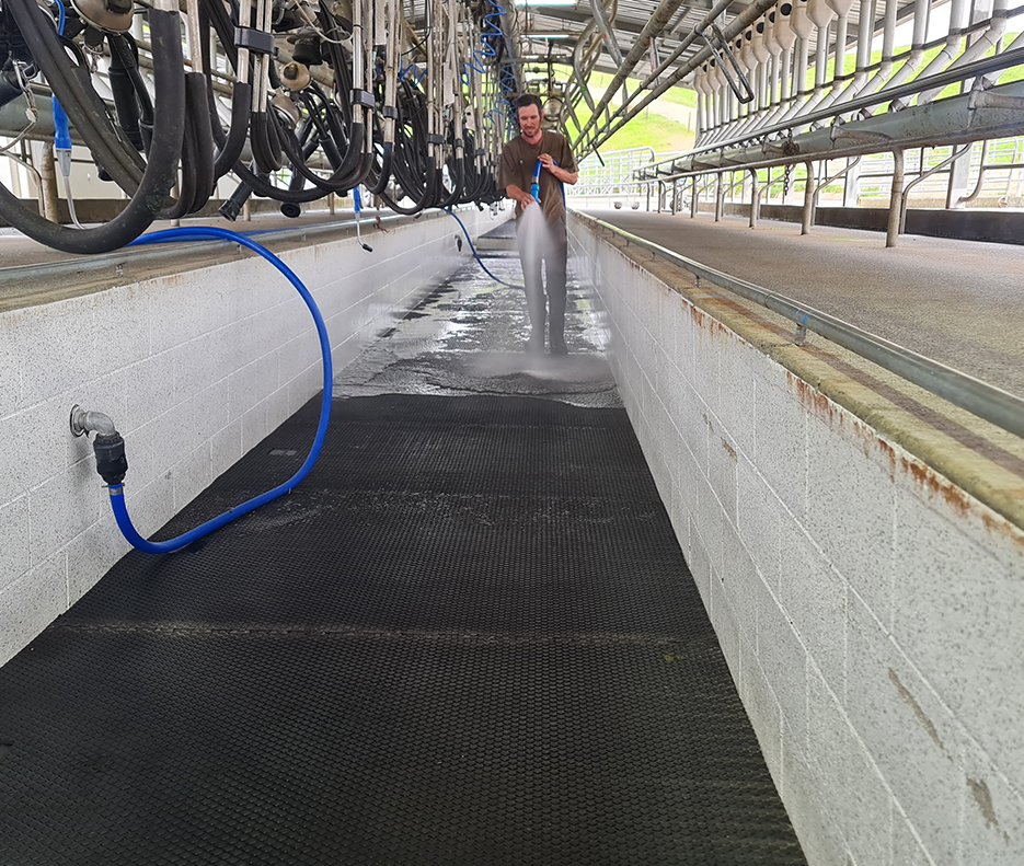 Agmat installed in a dairy shed pit floor