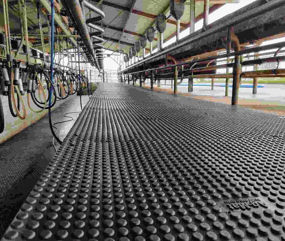 Penny Grip Tiles in milking shed