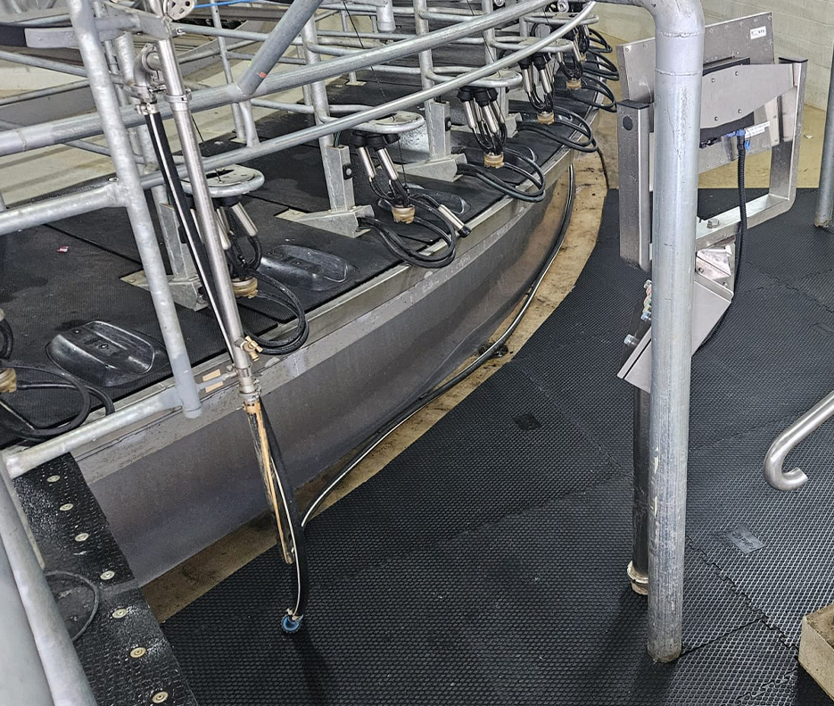 Agmat installed in Rotary Shed