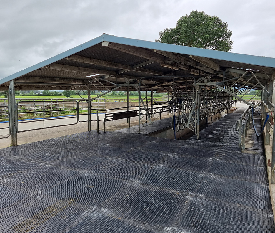 Penny Grip Shed Entrys and Bails