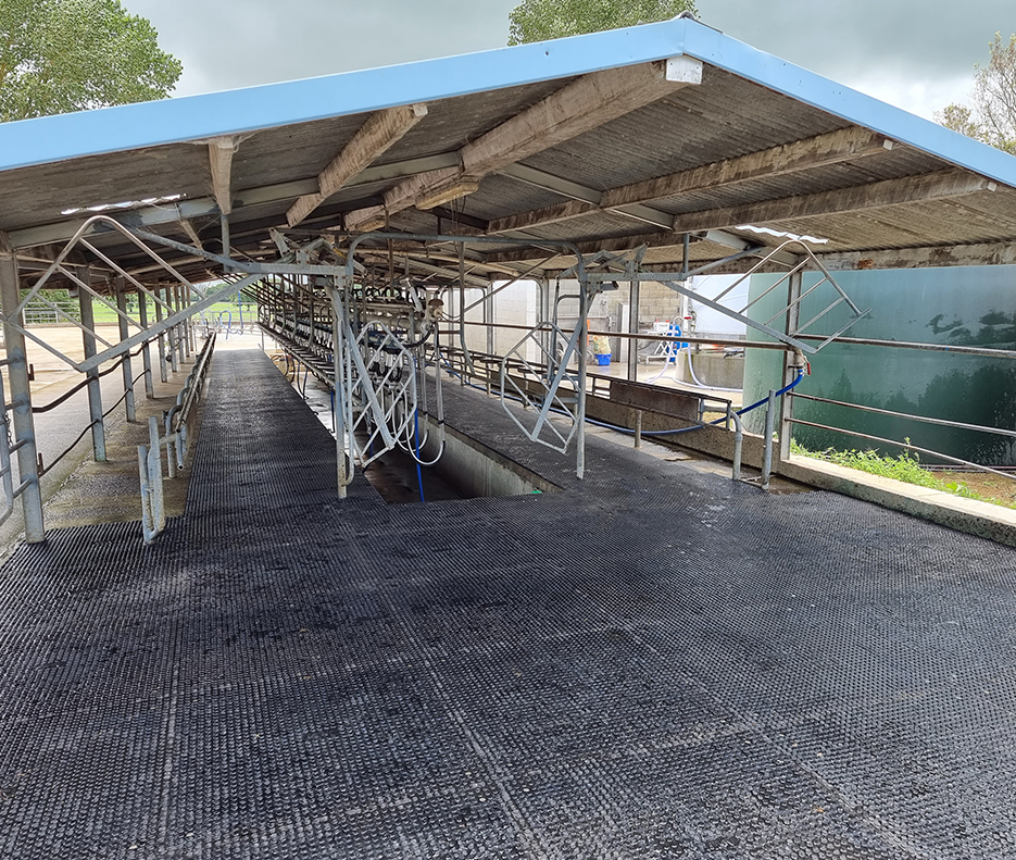 Agmat installed in Shed Entry and Bails