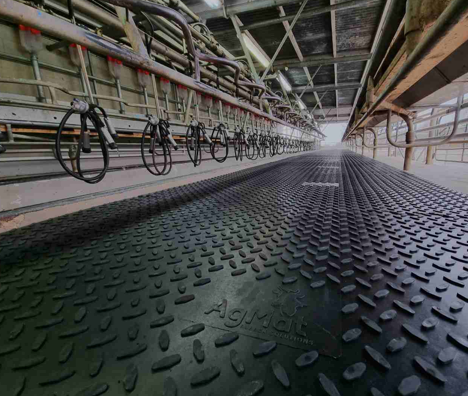 X Grip Tiles inside of a milking shed