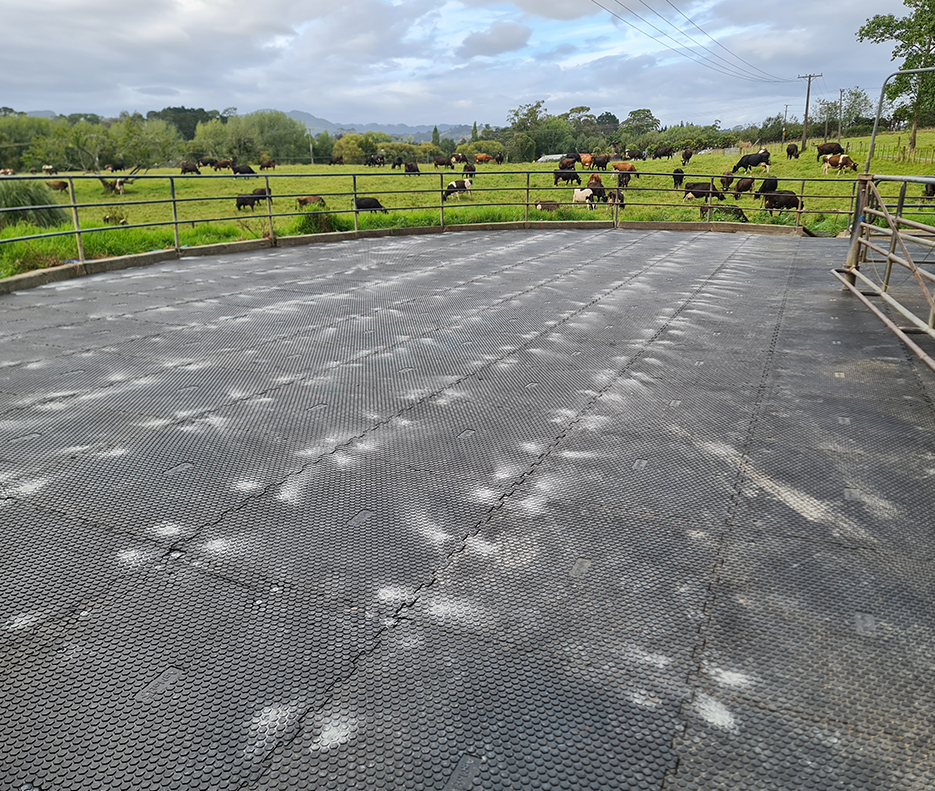 Agmat installed in a yard