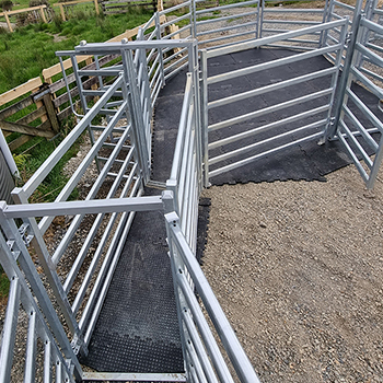 Cattle Yards