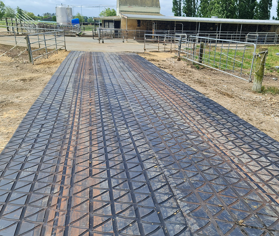 Dairy Grip Roll on a Laneway leading to a Dairy Shed Yard
