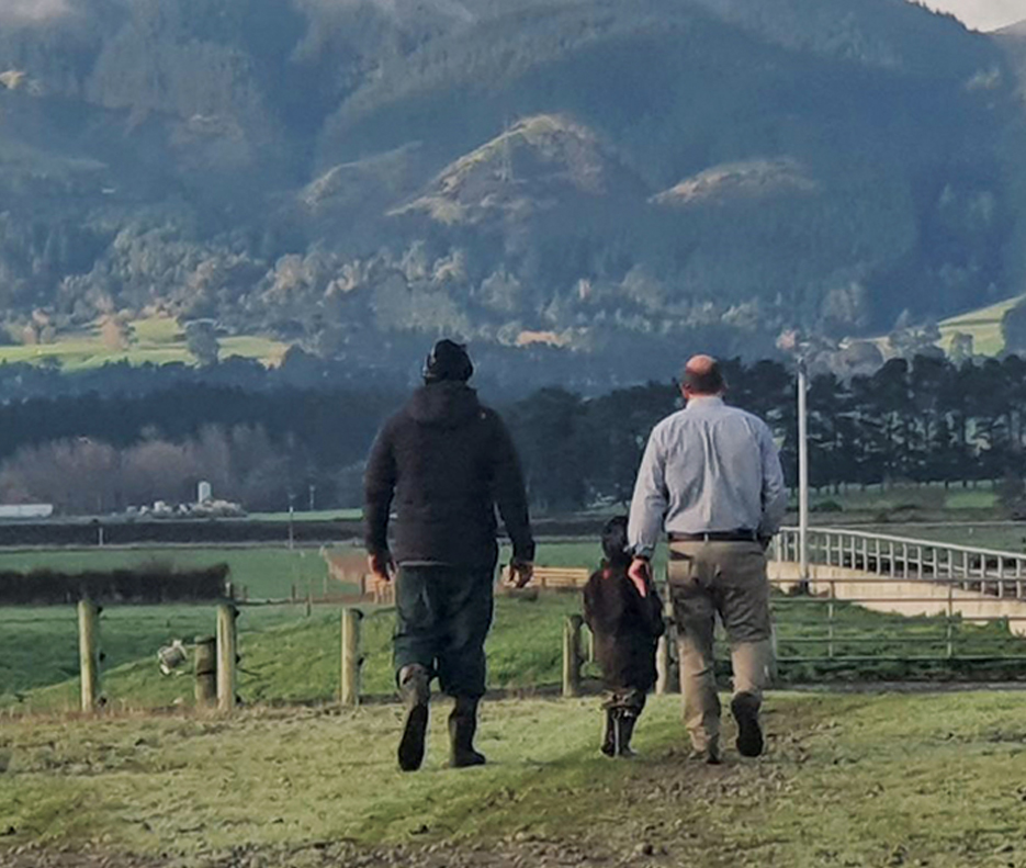 free farm site visits and quotations 
