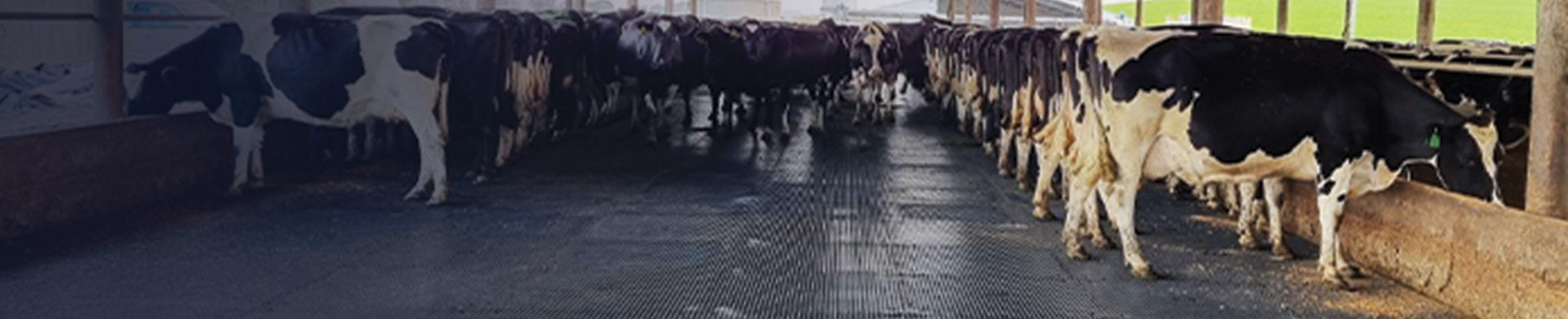AgMat Agricultural Rubber matting 